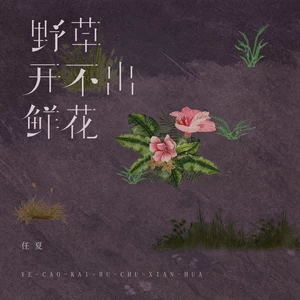 任夏 - 野草开不出鲜花