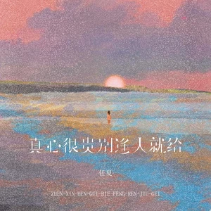 真心很贵别逢人就给(DJEva版)