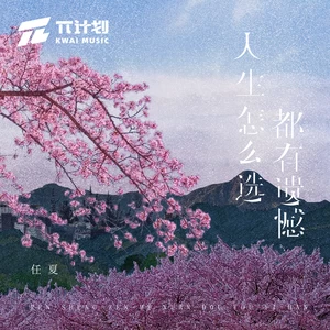人生怎么选都有遗憾(伴奏)