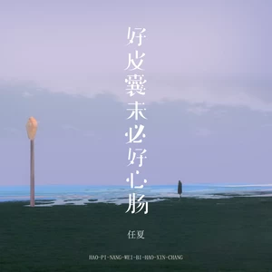 好皮囊未必好心肠(DJEva版伴奏)
