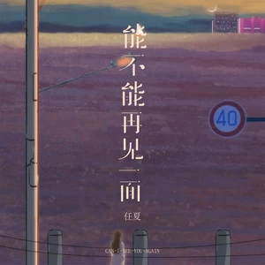 能不能再见一面(伴奏)