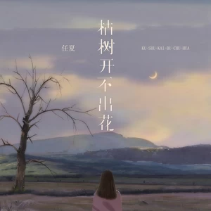 枯树开不出花(伴奏)