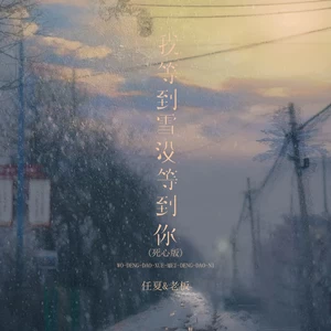 任夏/老板 - 我等到雪没等到你(死心版)
