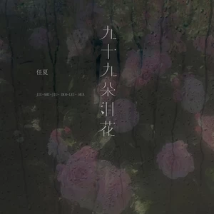 九十九朵泪花(DJEva版伴奏)