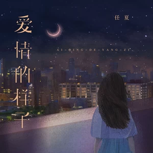任夏 - 爱情的样子