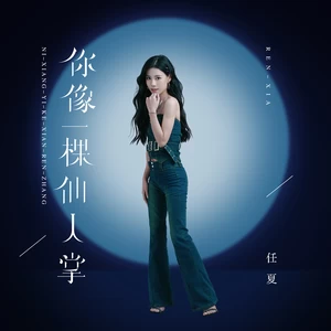 你像一棵仙人掌(伴奏)