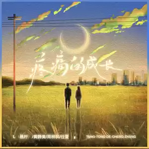 L（桃籽）/黄静美/周林枫/任夏 - 疼痛的成长