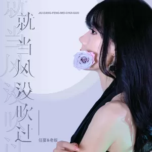 任夏/老板 - 就当风没吹过(伴奏)