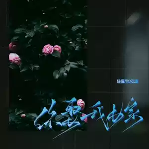 任夏/张俊波 - 你娶我嫁(伴奏)