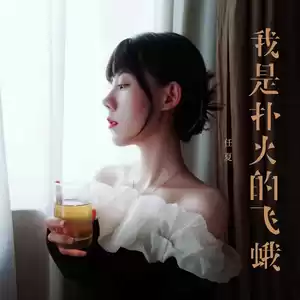任夏 - 我是扑火的飞蛾(DJEva版伴奏)