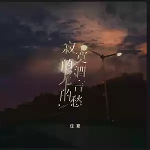 任夏 - 寂寞的酒无言的愁