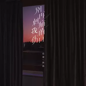 任夏/熊磊 - 别再刺痛我的伤口(DJ Eva版伴奏)