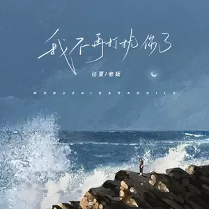 任夏/老板 - 我不再打扰你了(DJEva版)