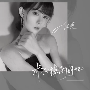 戒不掉的回忆(DJ版伴奏)