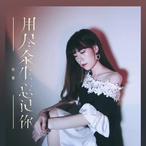 用尽余生忘记你(DJ版伴奏)