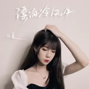 漂泊冷风中(DJ版伴奏)