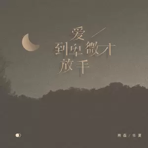 熊磊/任夏 - 爱到卑微才放手(DJ武圣雄版)