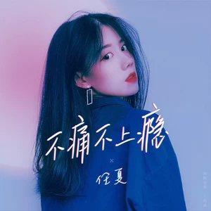 任夏 - 不痛不上瘾(DJ武圣雄版)