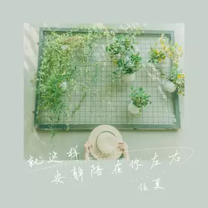 任夏 - 就这样安静陪在你左右