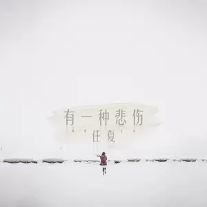 有一种悲伤