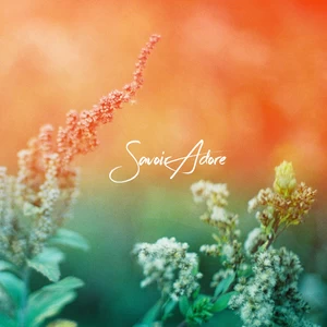 Savoir Adore - When the Summer Ends
