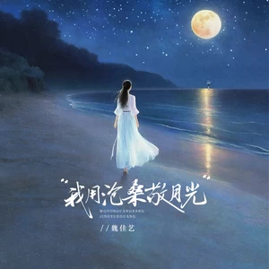 魏佳艺 - 我用沧桑敬月光