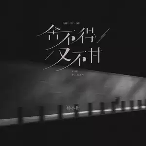 杨小壮 - 舍不得又不甘
