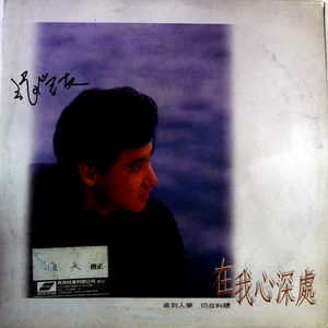 张学友 - 二人世界(黑胶版)