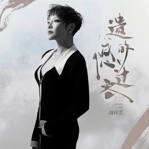 魏佳艺 - 遗憾的过客