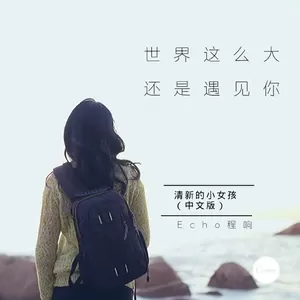 世界这么大还是遇见你(伴奏)