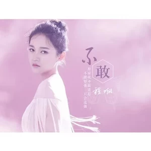 不敢(Dj版)