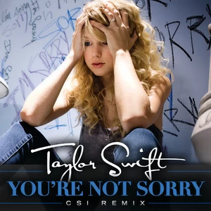 Taylor Swift - You’re Not Sorry(CSI Remix)