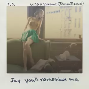 Wildest Dreams(R3hab Remix)