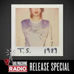 All You Had To Do Was Stay(Commentary)