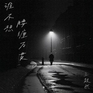 王超然 - 谁不想腰缠万贯