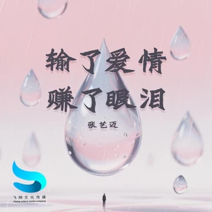 张艺迈 - 输了爱情赚了眼泪