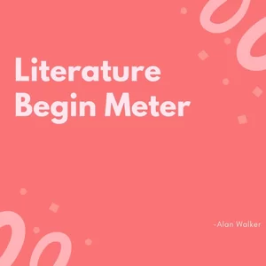 Alan Walker - Literature Begin Meter