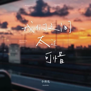 小荷花 - 我们之间太过可惜