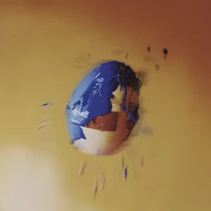 蒋敦豪 - 命名