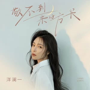 洋澜一 - 敬不到来日方长(DJ九零版)