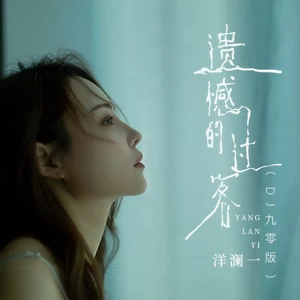 遗憾的过客(DJ九零版伴奏)