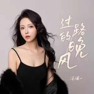 过路的晚风(DJ锋仔版伴奏)