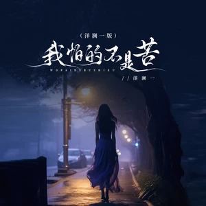 我怕的不是苦(洋澜一版伴奏)