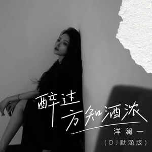 醉过方知酒浓(DJ默涵版)