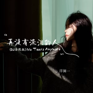 再没有流泪的人(DJ浩然版伴奏)