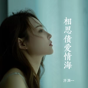 相思债爱情海(DJ版伴奏)