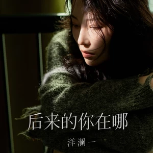 后来的你在哪·2024(伴奏)