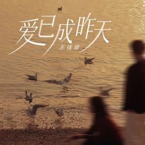 爱已成昨天