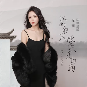 洋澜一 - 江南的风吹落江北的雨(DJ默涵版)