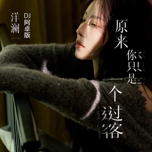 原来你只是一个过客(DJ阿卓版伴奏)